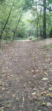 IMG_20230921_092225.webp IMG_20230921_092225.webp