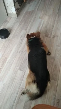 IMG_20230921_213623_242.webp IMG_20230921_213623_242.webp