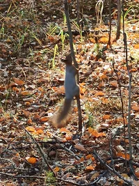 IMG_20230921_140905.webp IMG_20230921_140905.webp