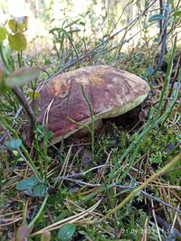 IMG_20230921_115824.webp IMG_20230921_115824.webp