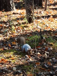 IMG_20230921_140901.webp IMG_20230921_140901.webp