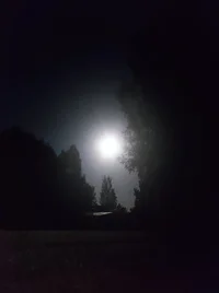 IMG_20230928_212702 (1).webp