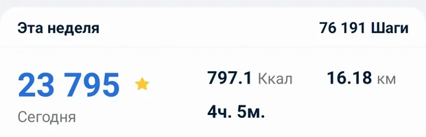 IMG_20231004_231300.webp IMG_20231004_231300.webp