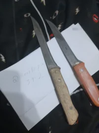 IMG-20231005-WA0010.webp IMG-20231005-WA0010.webp