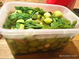 IMG_20231008_165941.webp IMG_20231008_165941.webp