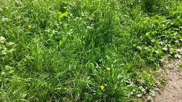 2016-05-23 16-04-20.webp