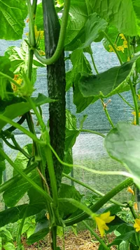 IMG20230720140256.webp IMG20230720140256.webp