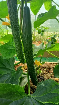 IMG20230714083408.webp IMG20230714083408.webp