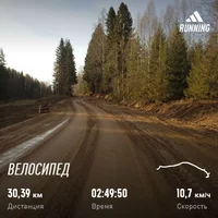 17_10 вел.webp