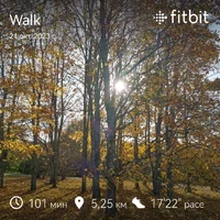 fitbitshare_1374504997.webp fitbitshare_1374504997.webp