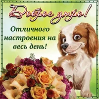 file34636.webp