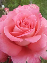 20230701_190822 (1).webp