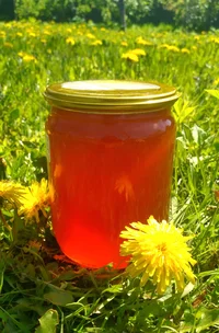 20230512_111730.jpg 20230512_111730.jpg