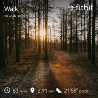fitbitshare_1654665851.webp