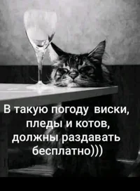 42F1CBF0-A10A-47DF-8D27-C9E4D996C5E8.webp