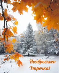 1700623653809.webp