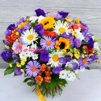 solnechnyj-priliv.webp solnechnyj-priliv.webp