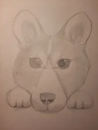 IMG_2023_11_22_18_18_25_6551516538052461240417.webp IMG_2023_11_22_18_18_25_6551516538052461240417.webp