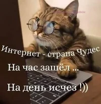 IMG_20231110_061537_728.webp IMG_20231110_061537_728.webp