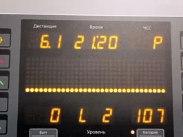 13.11.23 6,1 км.webp