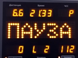 14.11.23 6,6 км.webp