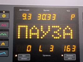 15.11.23 9,3 км.webp