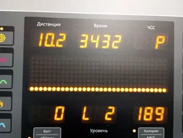 16.11.23 10,2 км.webp