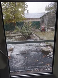 IMG_20231123_083126.webp IMG_20231123_083126.webp