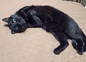 IMG_20231125_005559.webp IMG_20231125_005559.webp