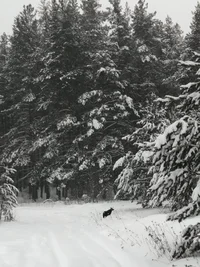 WhatsApp Image 2023-12-04 at 15.39.28.webp