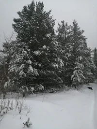 WhatsApp Image 2023-12-04 at 15.41.31.webp