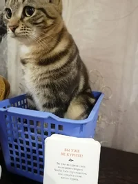 WhatsApp Image 2023-12-04 at 21.04.49.webp