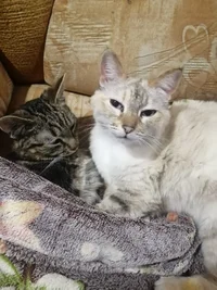 WhatsApp Image 2023-12-04 at 21.16.34.webp