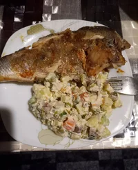 1701966376079.webp