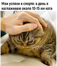 Screenshot_20231207_204329_VK.webp Screenshot_20231207_204329_VK.webp