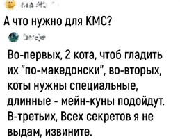 Screenshot_20231207_204402_VK.webp Screenshot_20231207_204402_VK.webp
