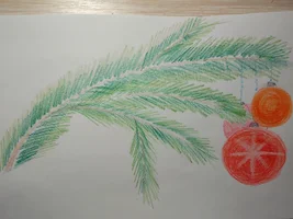 IMG_20231212_194036_812.webp IMG_20231212_194036_812.webp