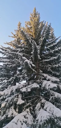 IMG_20231212_113406.webp IMG_20231212_113406.webp