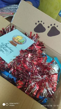 i - 2023-12-16T160442.494.webp