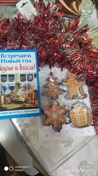 i - 2023-12-16T160453.413.webp