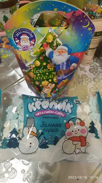 i - 2023-12-16T160507.376.webp