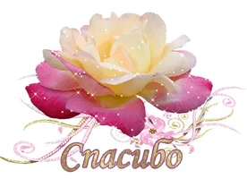 i (30).webp