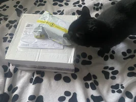 IMG_4939.webp IMG_4939.webp