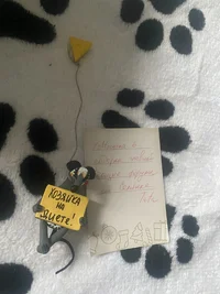 IMG_4940.jpeg IMG_4940.jpeg