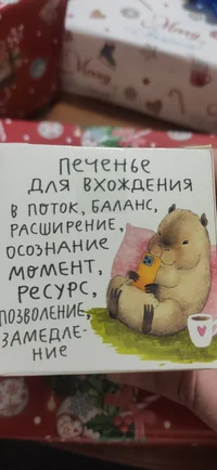 IMG_20231219_205809.webp IMG_20231219_205809.webp