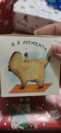 IMG_20231219_205745.webp IMG_20231219_205745.webp