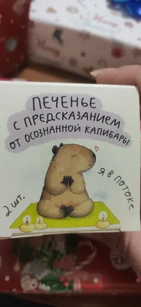 IMG_20231219_205739.webp IMG_20231219_205739.webp