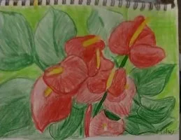 Milay.webp