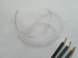 Хтонь Лесная.webp