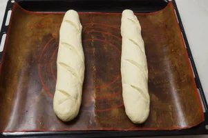 DSC01586_1.webp DSC01586_1.webp